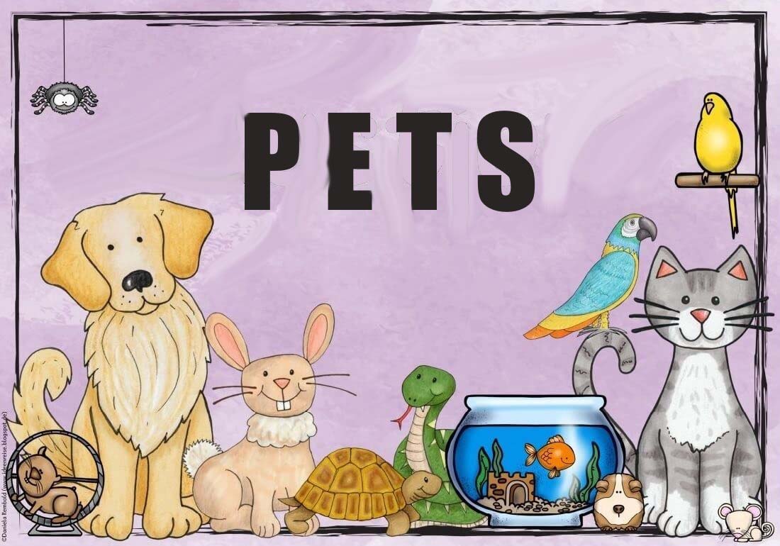 Pets Pets