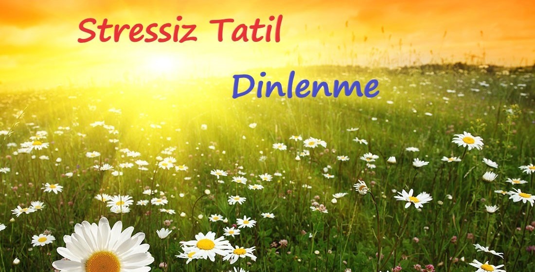 Stressiz Stressiz