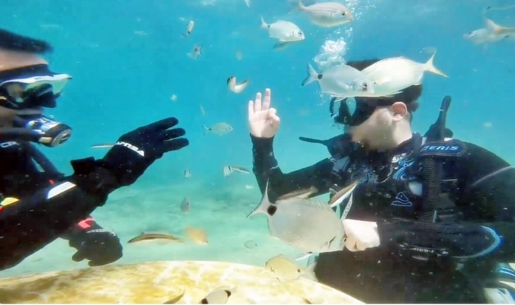 Diving